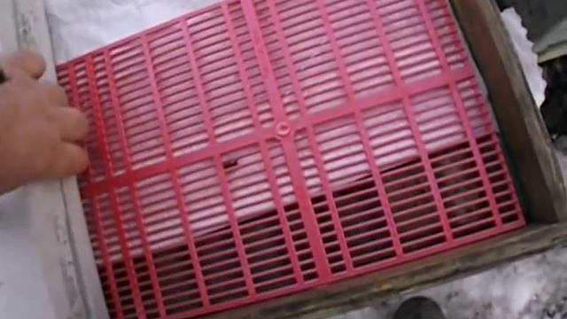 зимовка запасных маток - формирование отводков в конце пчеловодного сезона смотреть онлайн