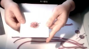 Мастер класс по лепке цветов из полимерной глины в экструдерной технике.