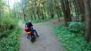 Северный - Афанасово - Новоалександрово - Поведники