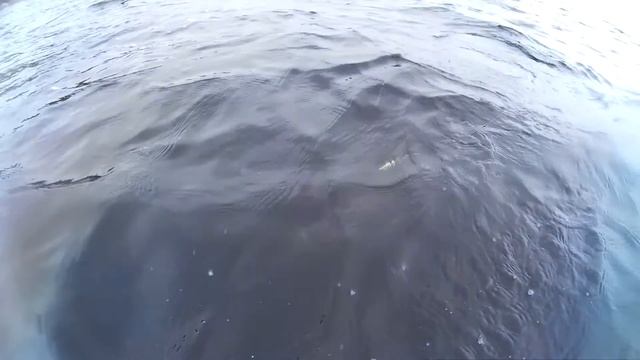 Вблизи старинного карельского села Паданы смотреть онлайн