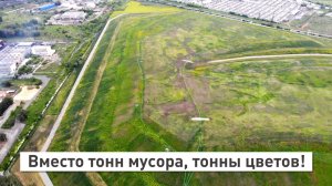Бывшая Челябинская городская свалка превратится в большой комплекс по выращиванию цветов