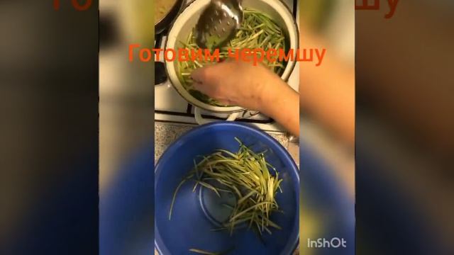 Готовим черемшу в томате.