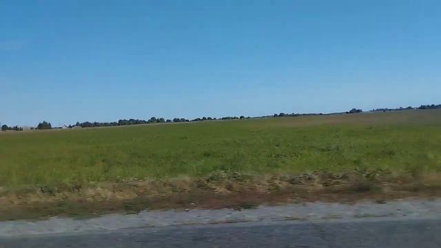 Дорога в г.п. Тереховка. Добрушский район. Гомельская область. Серия 