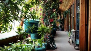 Exploring Off-Grid Earthship Homes - Ultimate Efficiency?