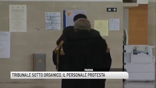 TG PADOVA (14/07/2018) - TRIBUNALE SOTTO ORGANICO, IL PERSONALE PROTESTA смотреть онлайн