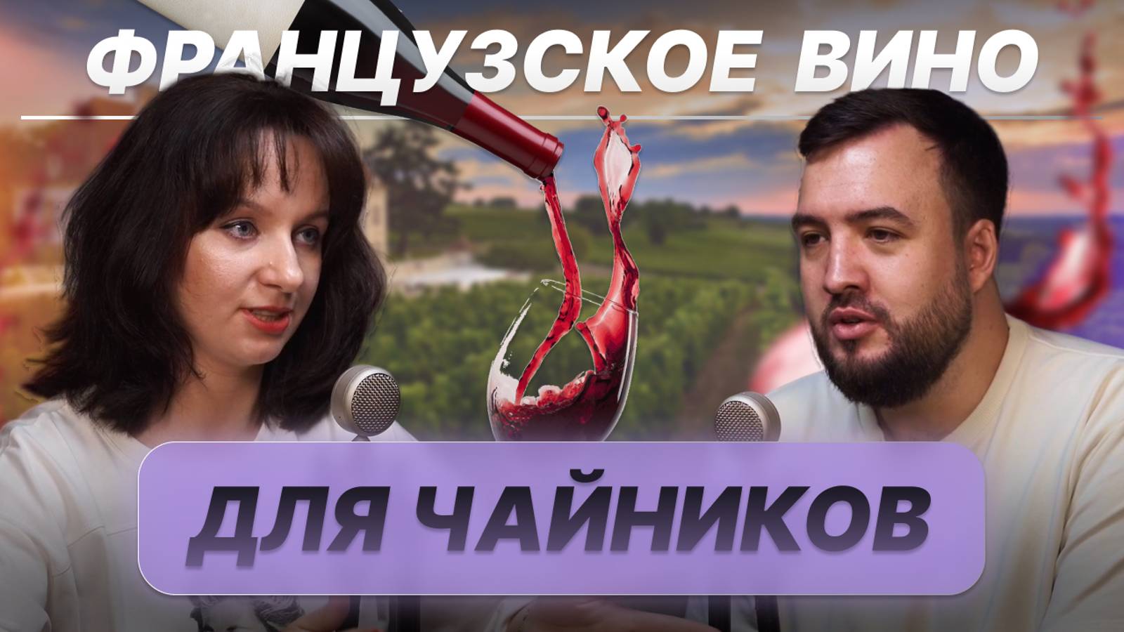 Французское вино для чайников