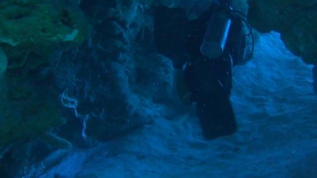 Cozumel Diving смотреть онлайн