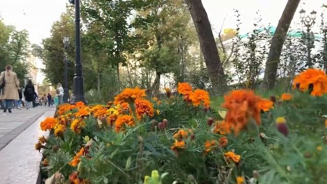 Chistye Prudy (Чистые пруды), Moscow 2020