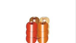 Четырёхгранный Шнур Ндебеле