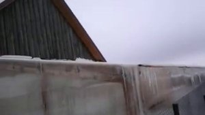 Отапливаемая теплица для цитрусов. Обустройство. Часть 1
