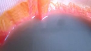 Добыча ЗОЛОТА в домашних условиях или что валяется под ногами!