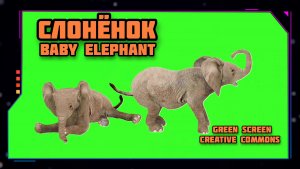 СЛОНЁНОК видео Green Screen футаж. ХРОМАКЕЙ АНИМАЦИЯ на зелёном фоне.