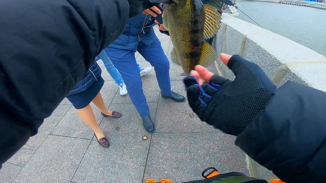 ХИЩНИКИ центра Москвы! СТРИТФИШИНГ. Осенняя рыбалка.