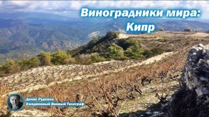 Фантастические виноградники Кипра