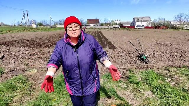 Начали сажать картошку. Кто не успел спрятаться ,тот работает! 2023 г.29 апреля смотреть онлайн