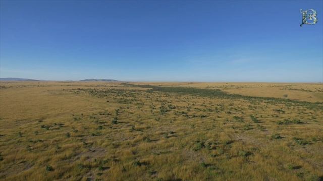 Понедельник, 6 ноября 2023 года. Толкование Апостола с митр. Антонием (Паканичем). смотреть онлайн