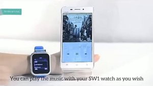 borofone SW1 SMARTWATCH
