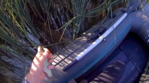 Я таких карасей  осенью еще не ловил! 3 СЕНТЯБРЯ! Рыбалка на поплавочную удочку ЛОВЛЯ КАРАСЯ осенью