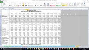 Profit and loss and cash flow forecast