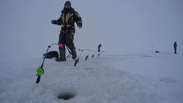 Рыбалка на корюшку на южной дамбе Финского залива смотреть онлайн