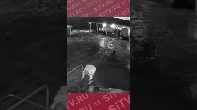 А ГОЛОЛЁД,…он…как Шахматы… Шаг и… МАТ…)
