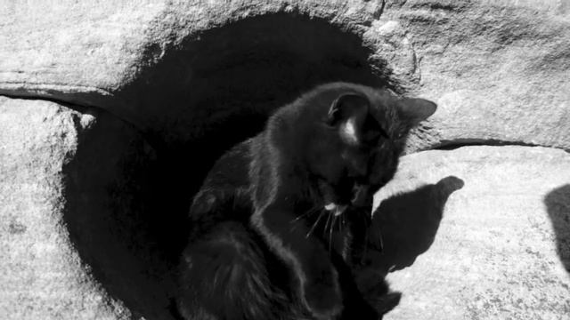 Дольмены долины реки Жанэ смотреть онлайн