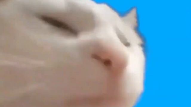 @HolyBaam и @OlyaKeks - песня про битбокс (только вокал) смотреть онлайн