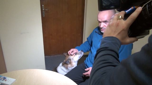 Измерение ауры (биополя) до и после общения с собакой! Неожиданный результат! смотреть онлайн