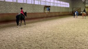 Верховая езда //КОНОБЛОГ// Про МАНЕЖ