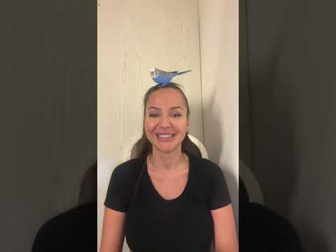 Лиза Триандафилиди ПРЯМОЙ ЭФИР 24.01.24 ч2