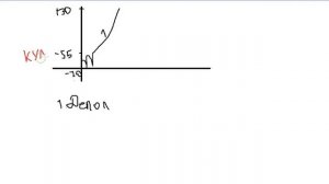 потенциал действия физиология
