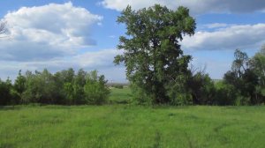 Опустевший посёлок Приволье, Хвалынский район.