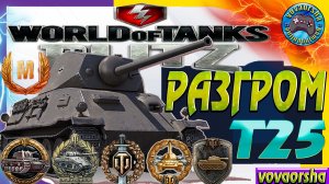 РАЗГРОМ Т 25 НА ЭШЕЛОНЕ Wot Blitz  ЛУЧШИЕ РЕПЛЕИ World of Tanks Blitz (wotb)