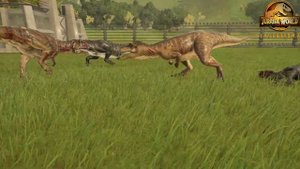 INDOMINUS REX vs INDORAPTOR vs T-REX vs MEGALOSAURUS - DINOSAURS BATTLE - Jurassic World Evolution