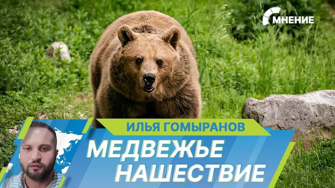 Медведи атакуют города Якутии. Как вести себя при встрече с хищником?