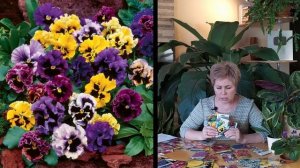 СЕЗОН 2020: ЧТО ПОСЕЯТЬ В МАРТЕ: цветы АНОНС РОЗЫГРЫША ПРИЗОВ К 8 МАРТА / Садовый гид