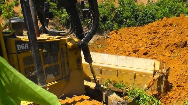 Earth Diggers on the Move: Building a Better Future with Palm Oil смотреть онлайн