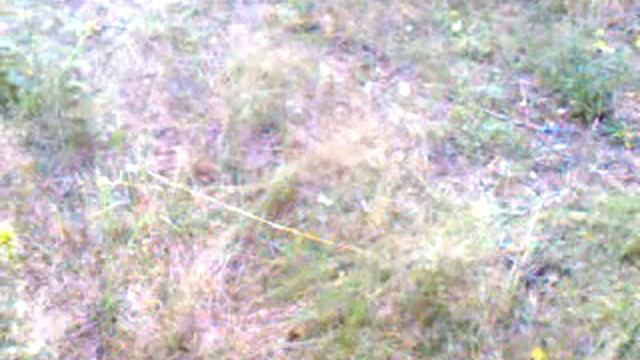 всего доброго вам друзья.3gp смотреть онлайн