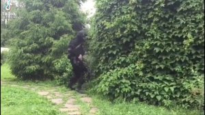 Прикол про Омон.