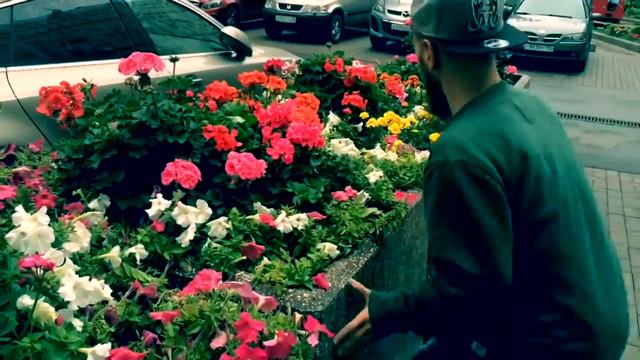 Дарите девушкам цветы смотреть онлайн