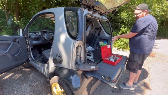 Panther Black paint on mirrors and rear light covers (smart car 450 city) смотреть онлайн