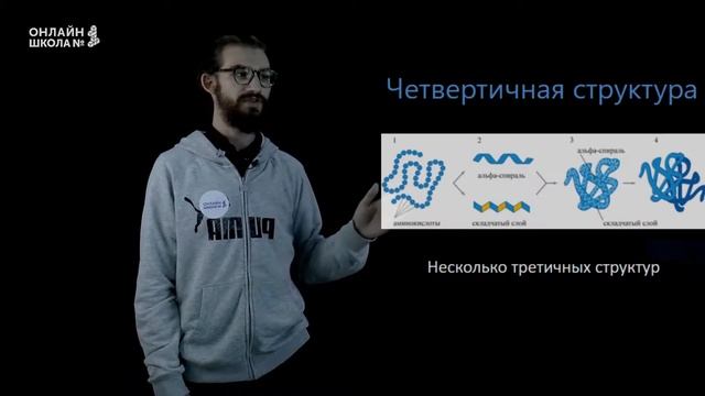 Белки. Видеоурок 6. Биология 9 класс