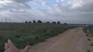 Цветут железняк,шандра,гармала и другие медоносы северного Крыма.