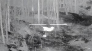 охота на кабана с тепловизором