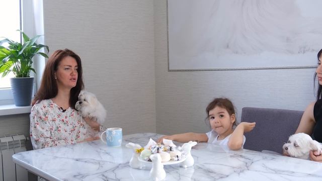 Собачки-очаровашки, или как Lily приобрела новых друзей | Lily and zoo friends смотреть онлайн