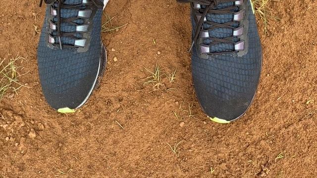 Nike Zoom Pegasus 37 Initial Run Review and Shoe Details смотреть онлайн