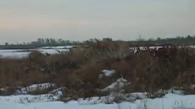 Копылуха смотреть онлайн