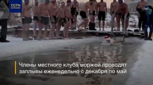 Новогодний заплыв омских моржей