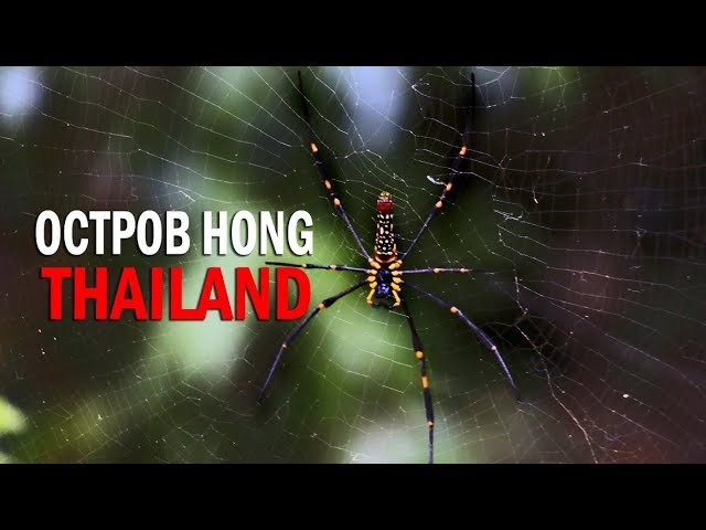 Остров KOH HONG Краби Таиланд смотреть онлайн