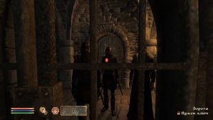 TES IV: Oblivion на 100% №1: Об игре; Создание персонажа и Побег из тюрьмы (Подробное прохождение).